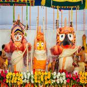 The Independence:Jagannath-Temple-Rath-Jatra