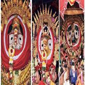 The Independence:Rath-Yatra-2023-Lakhs-of-devotees-witness-Suna-Besha-of-Holy-Trinity-in-Puri